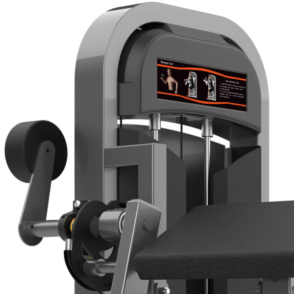 M2-1010A Ülő bicepszgép