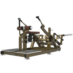 LD-1016 Tricepszgép